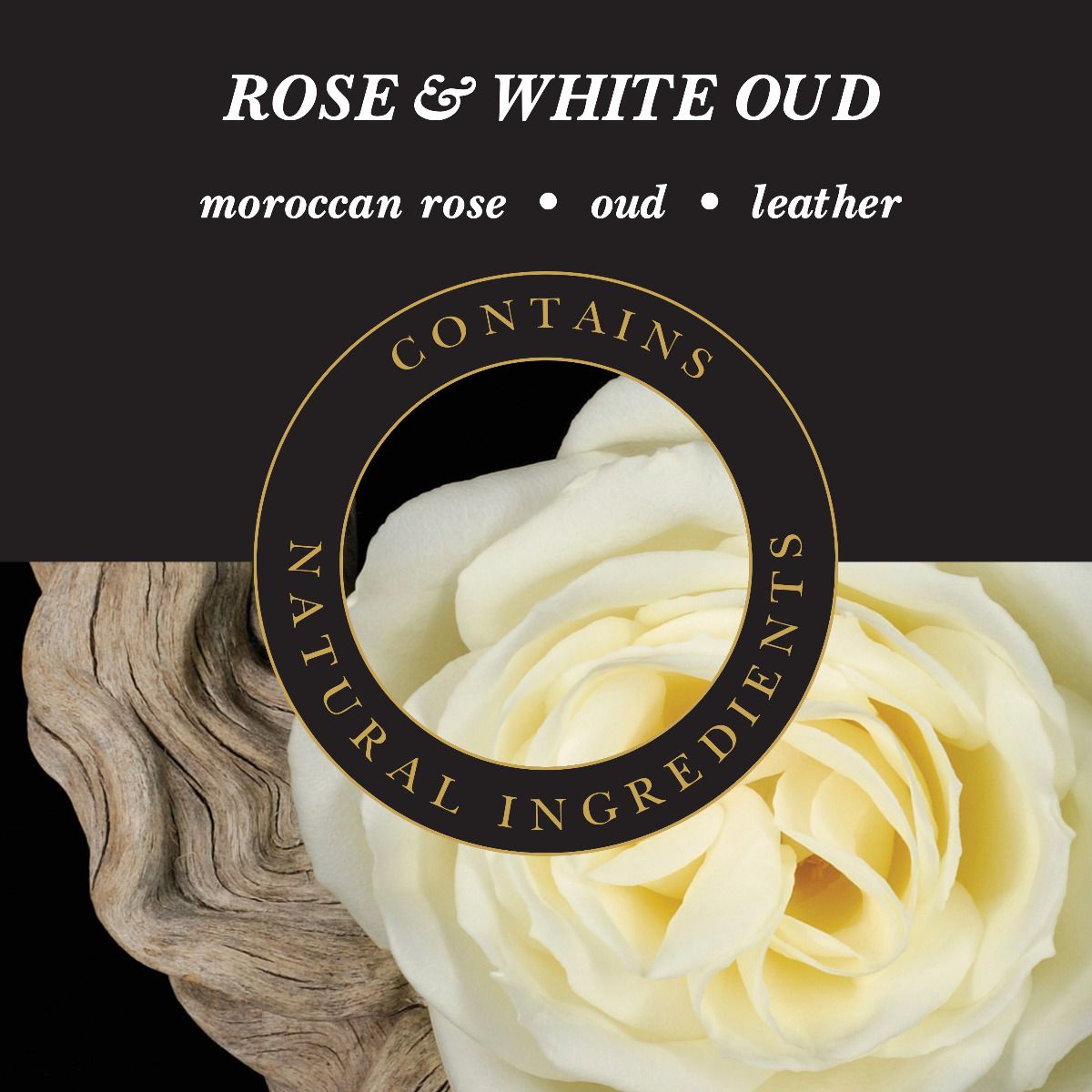 rose_white_oud_1
